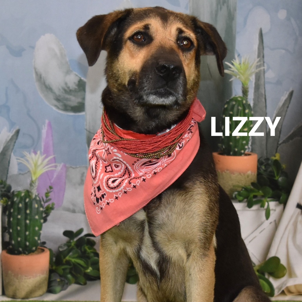 Lizzy 