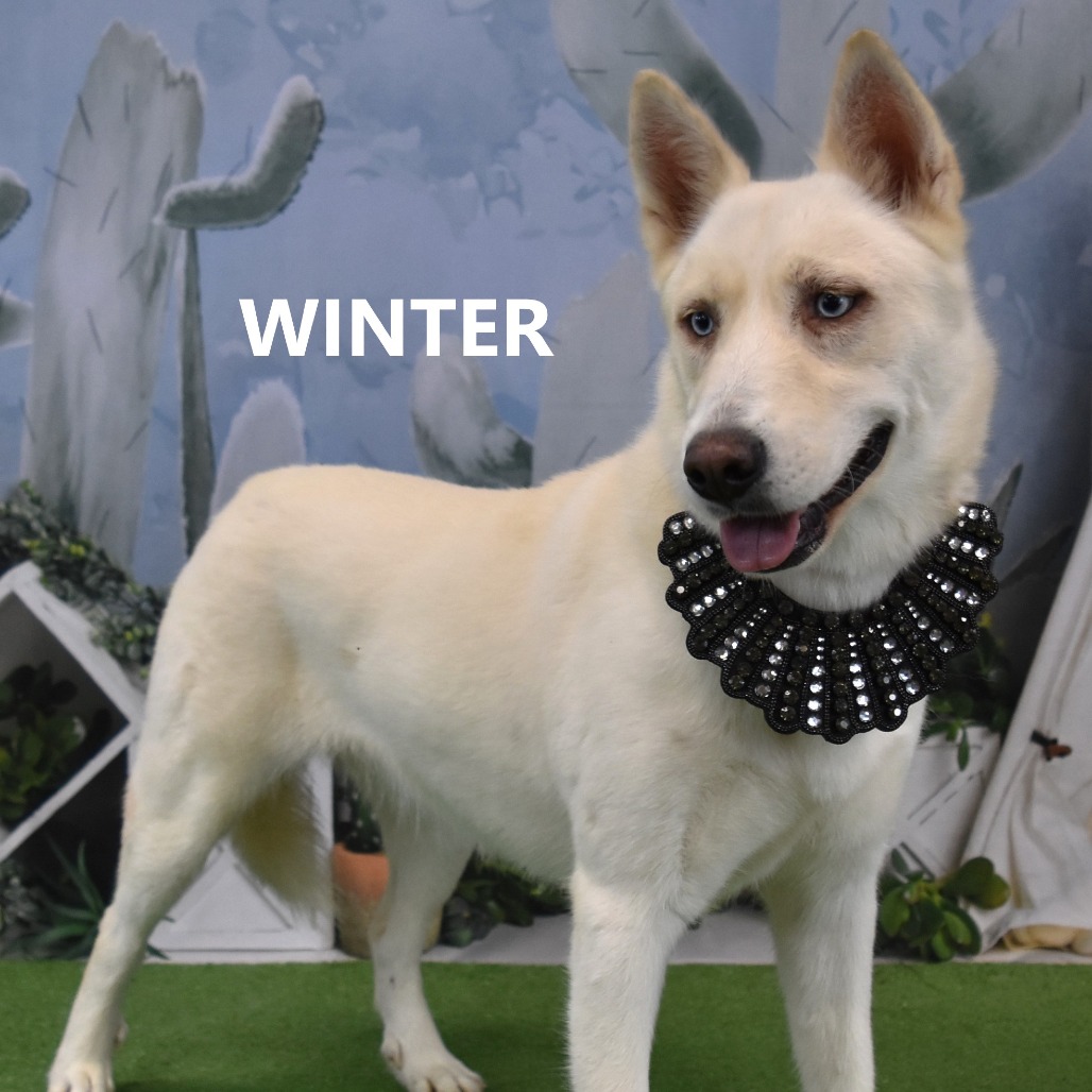 Winter