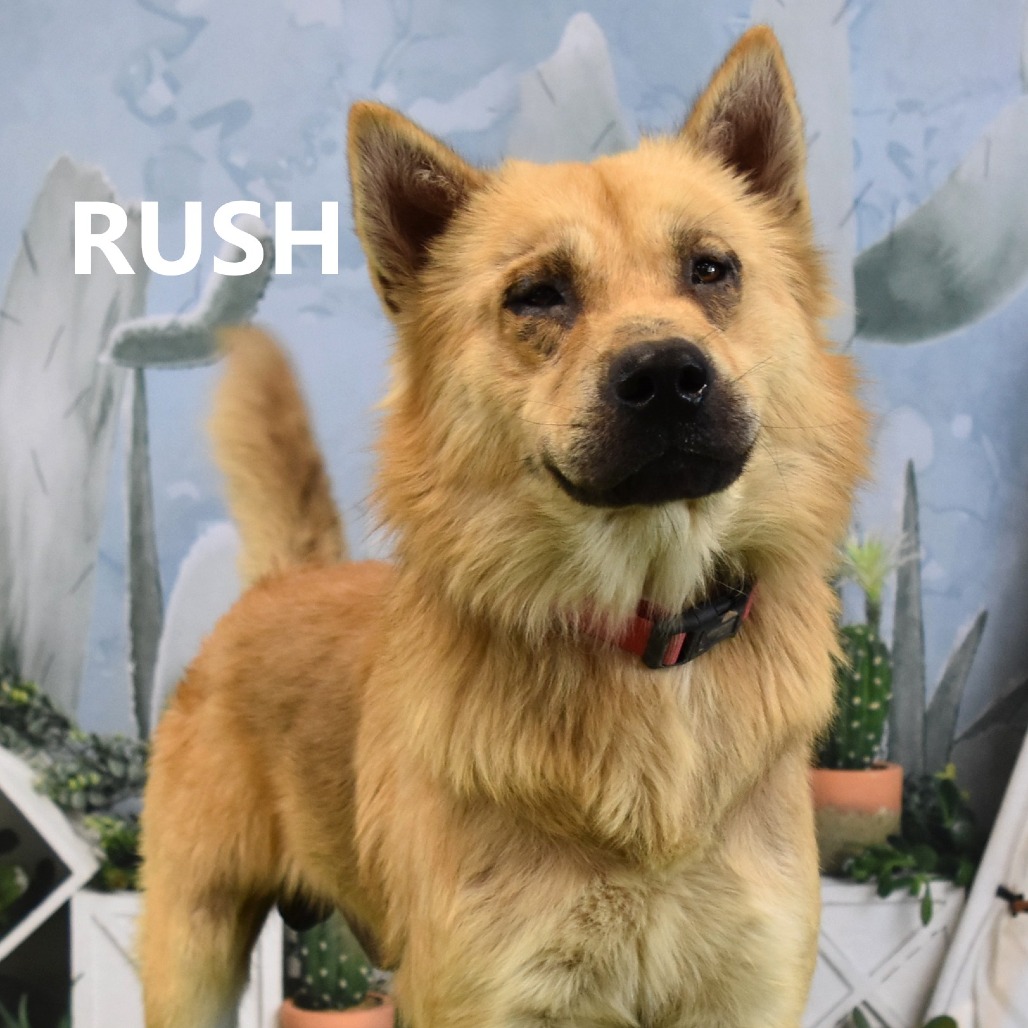 Rush