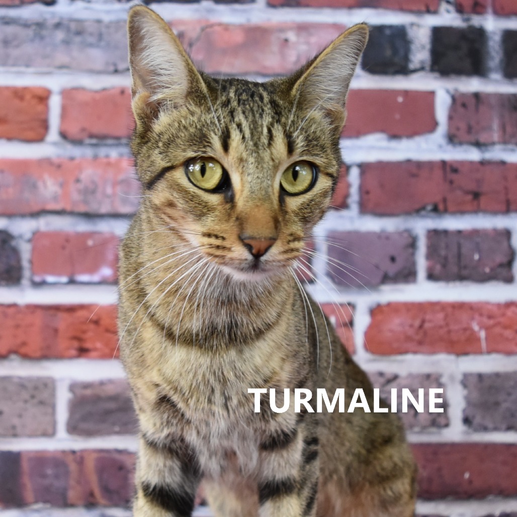 Turmaline
