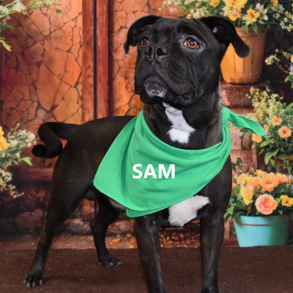 Sam