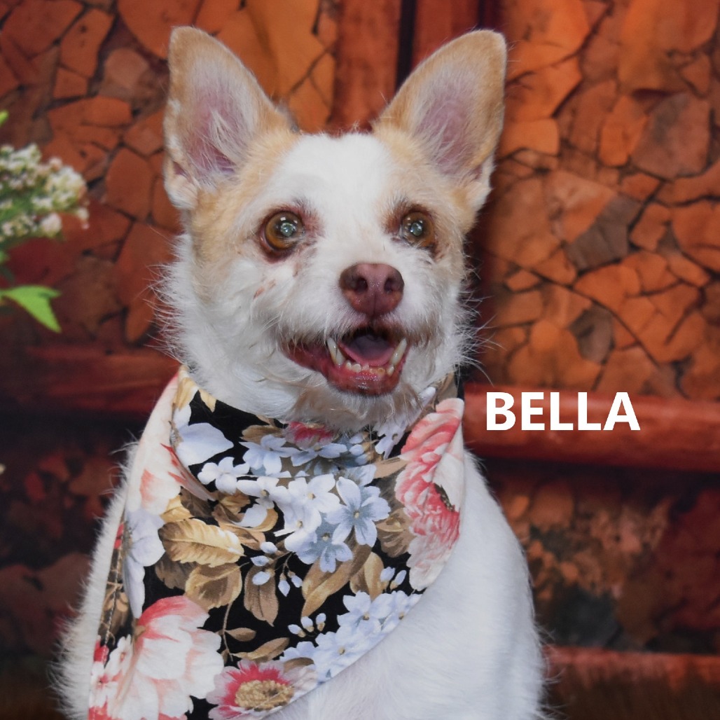 Bella
