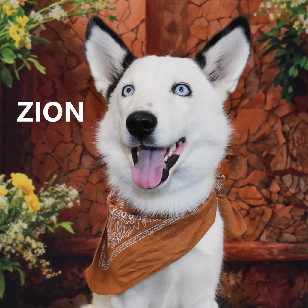 Zion