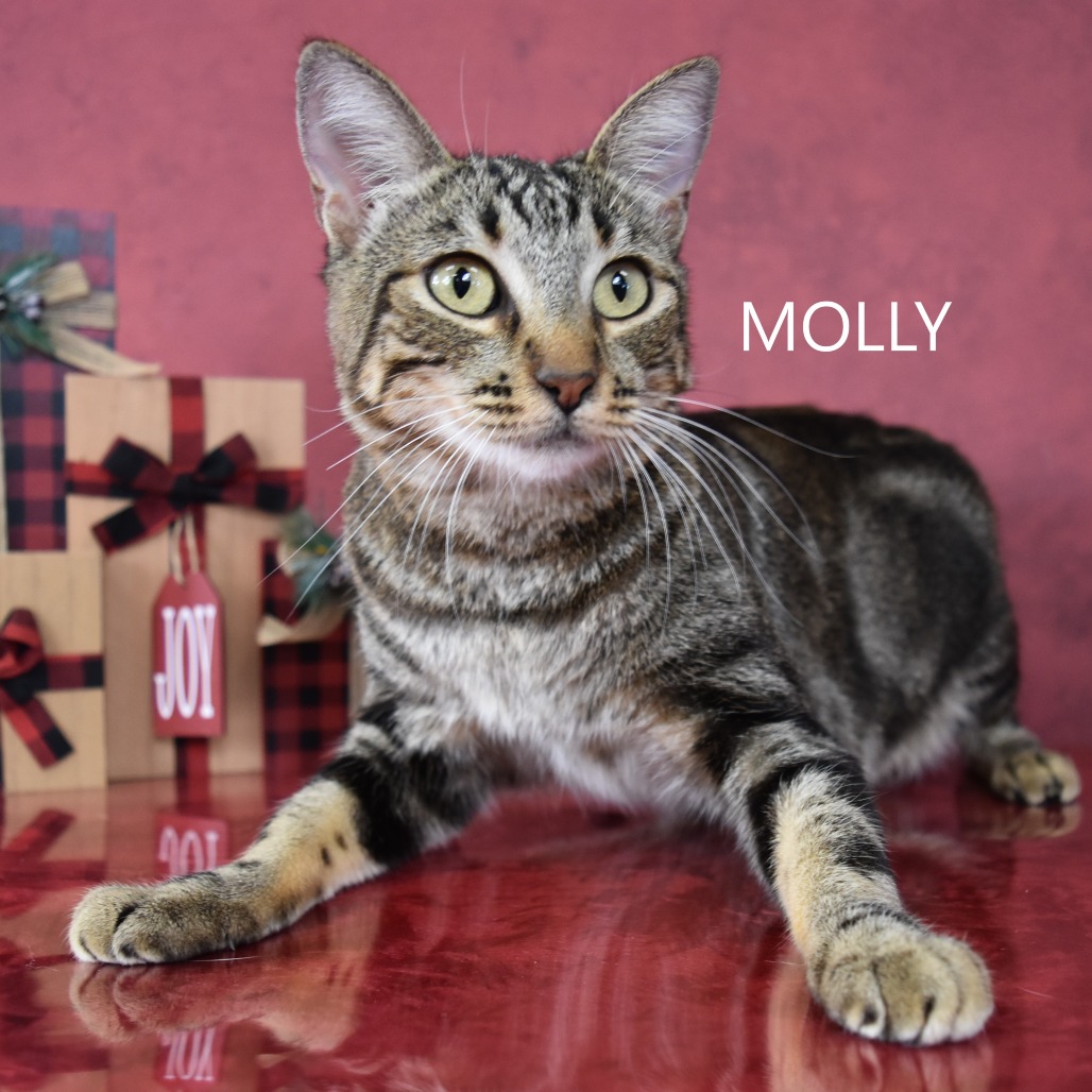 Molly