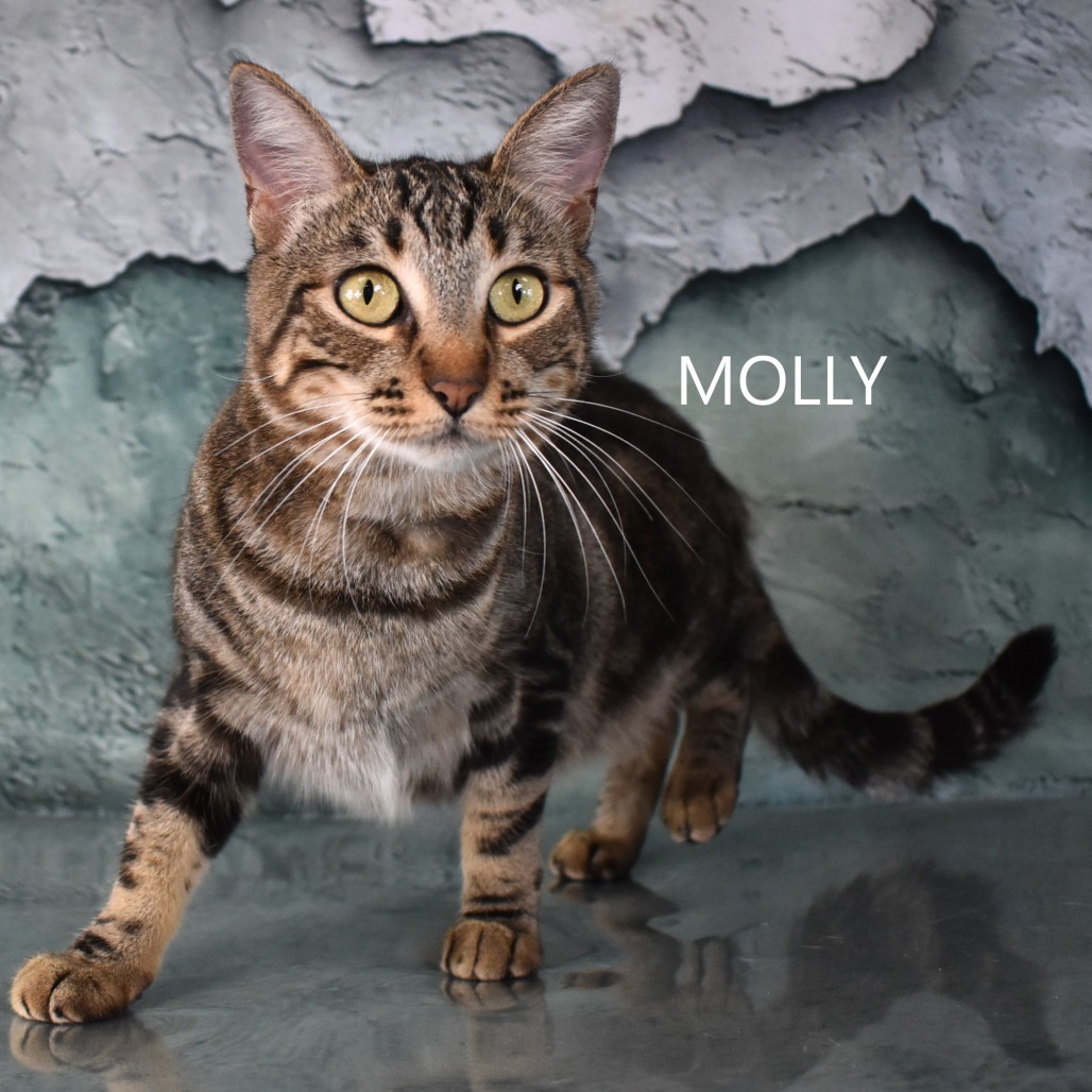 Molly/Kiki
