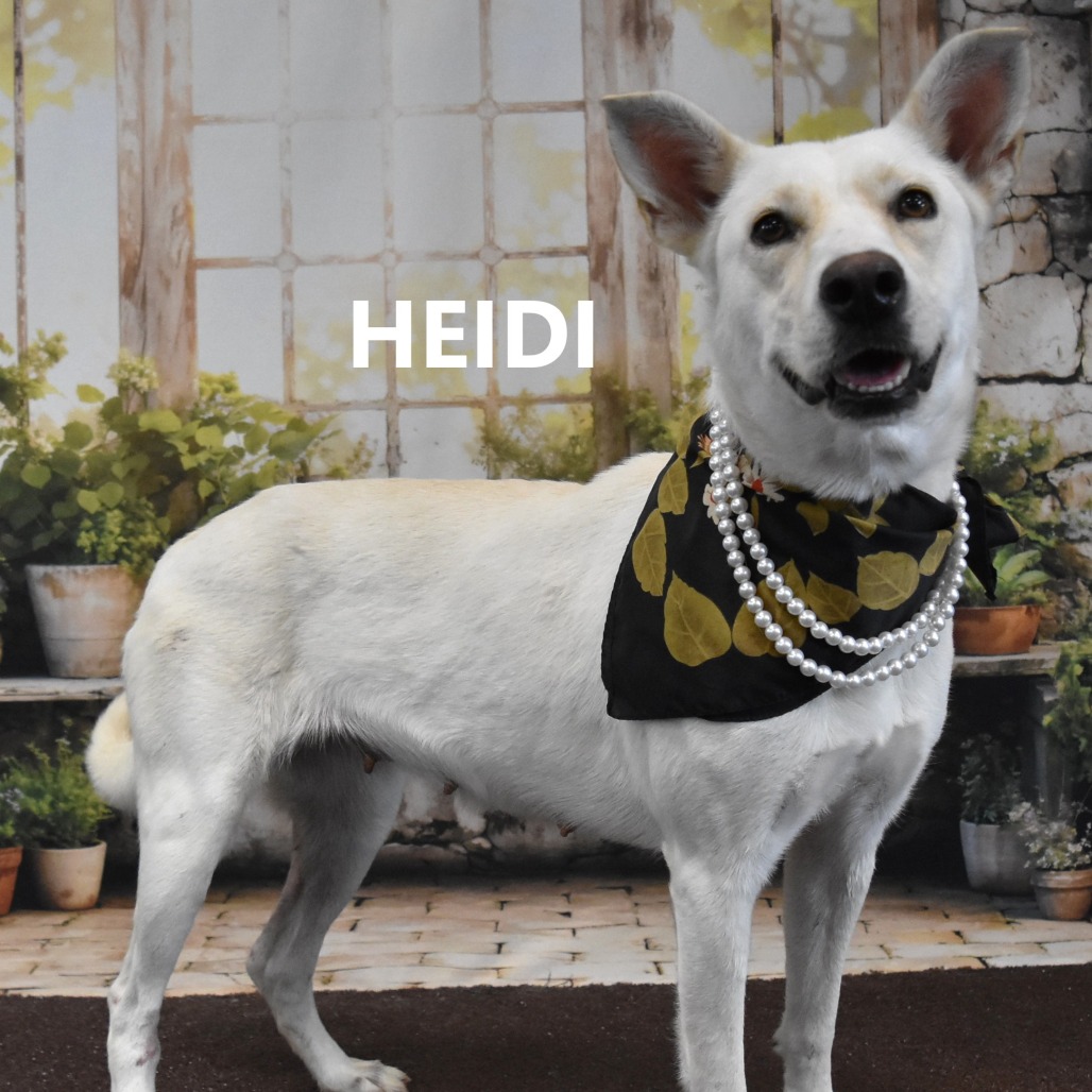 Heidi