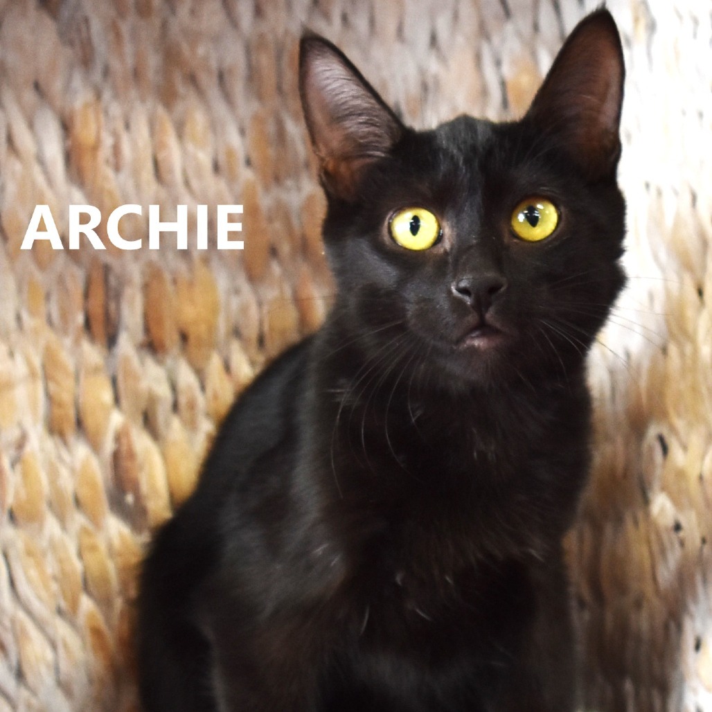Archie