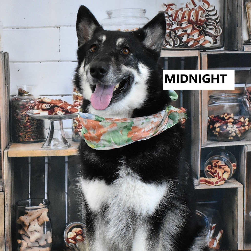 Midnight