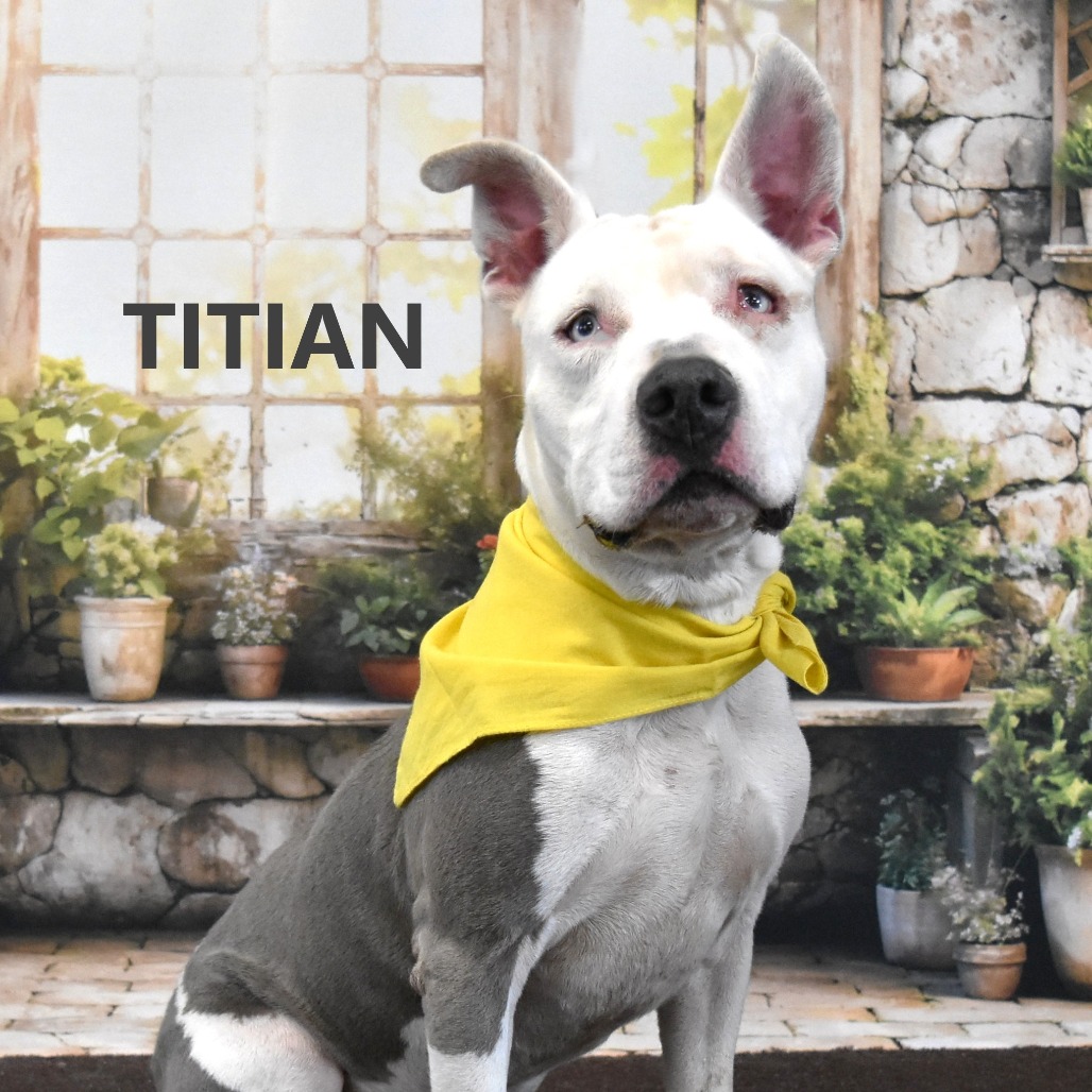 Titan
