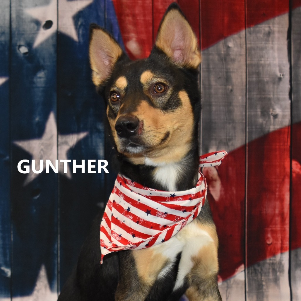 Gunther