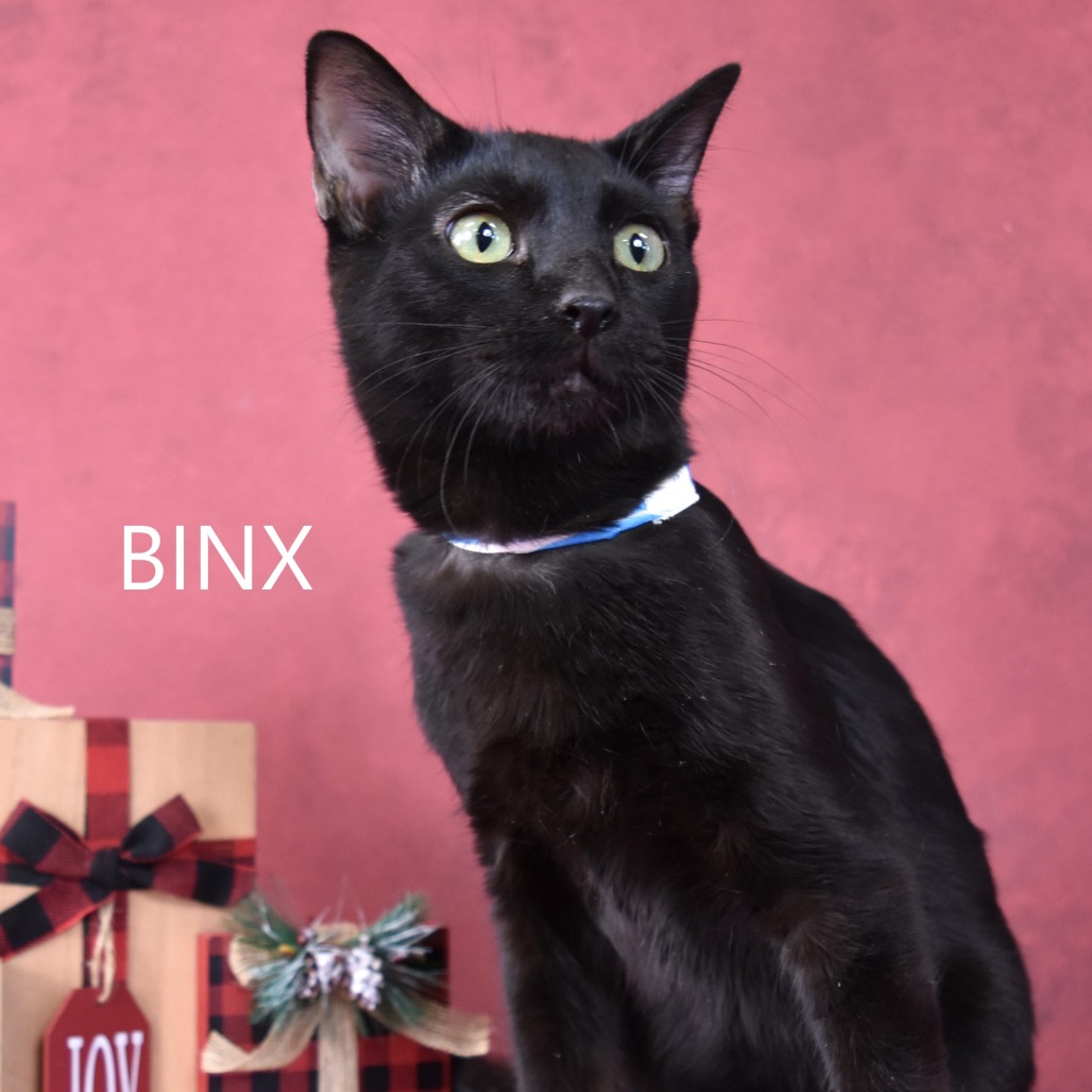 Binx