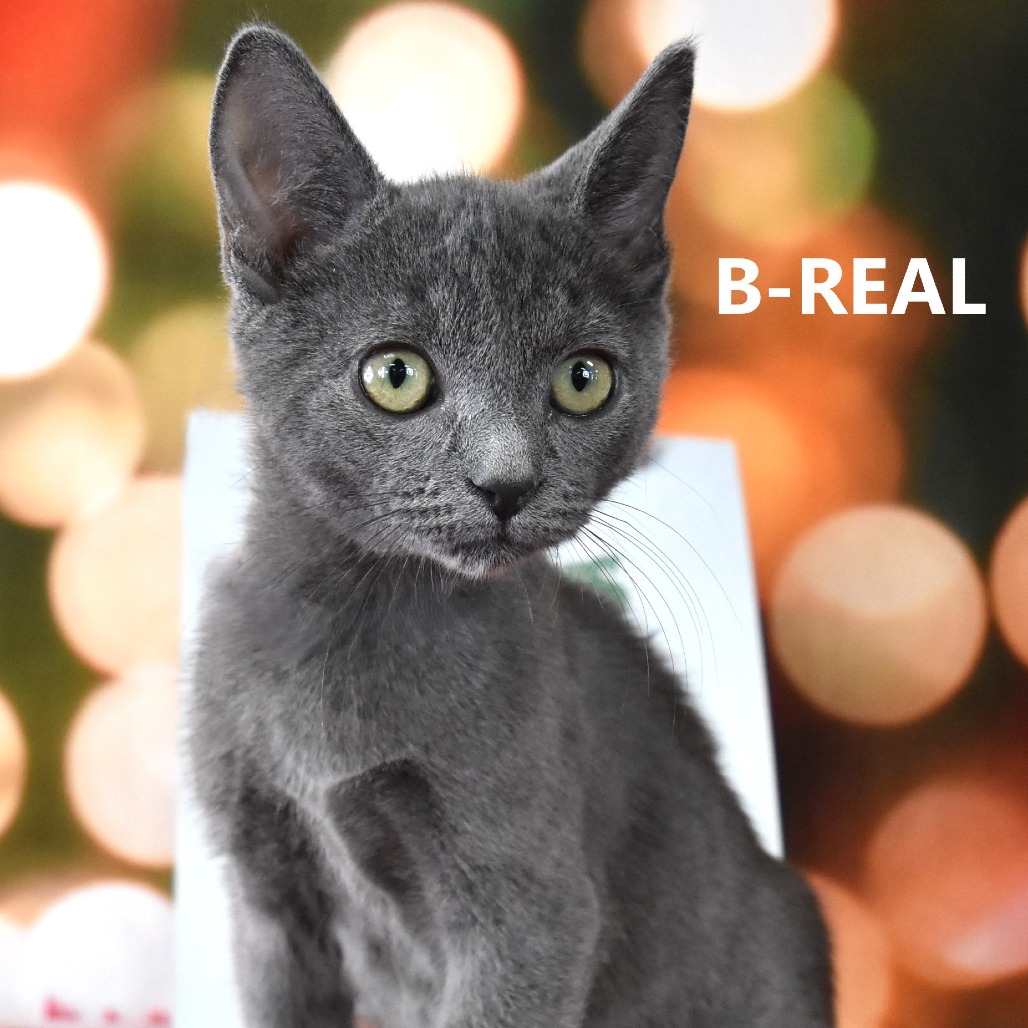 B-real