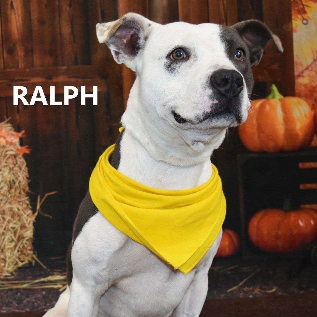 Ralph 