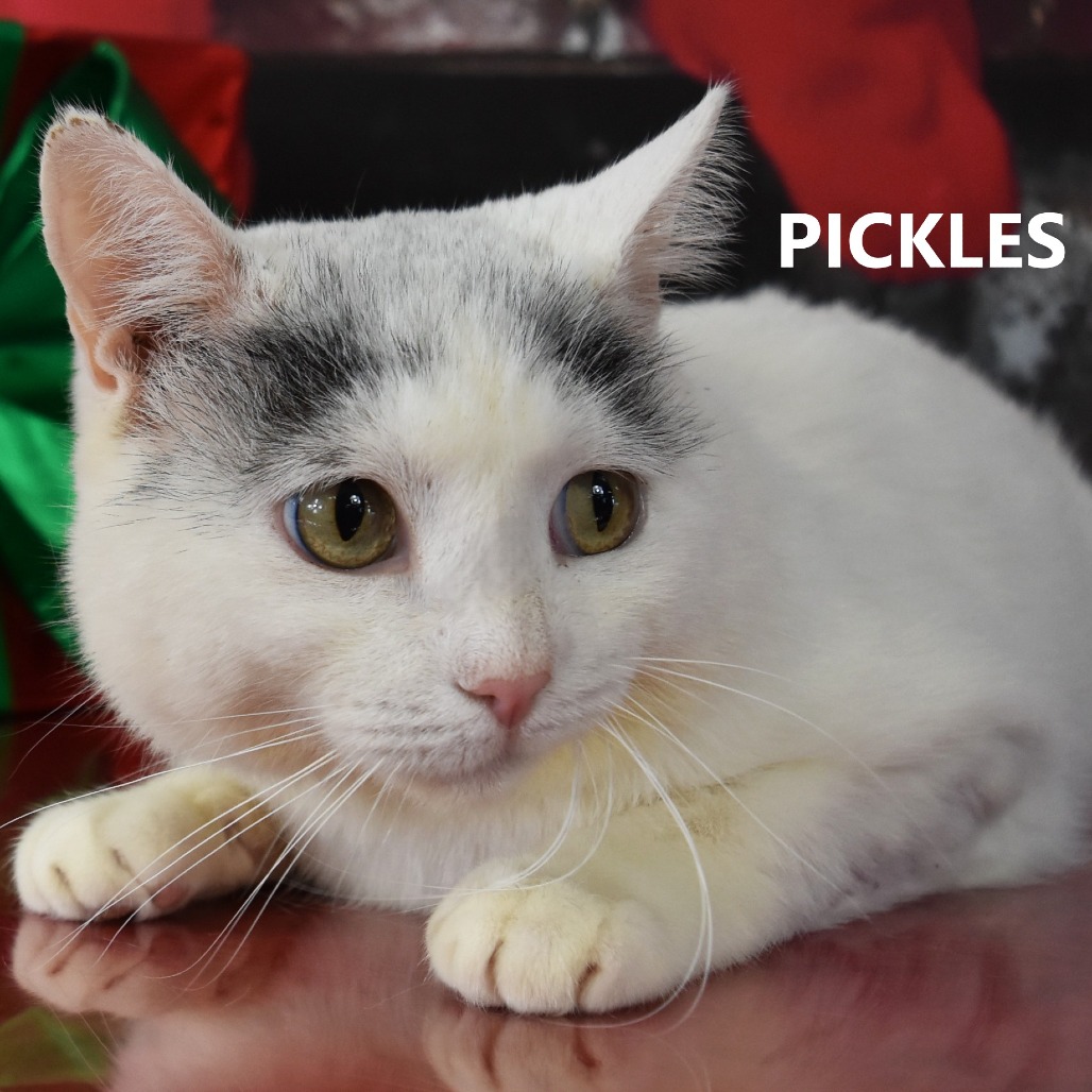 Pickles