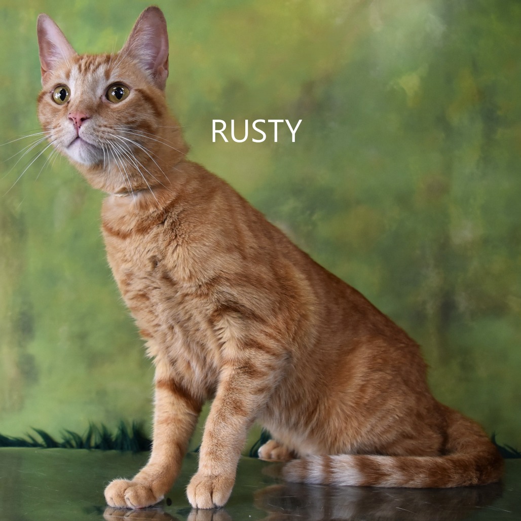Rusty