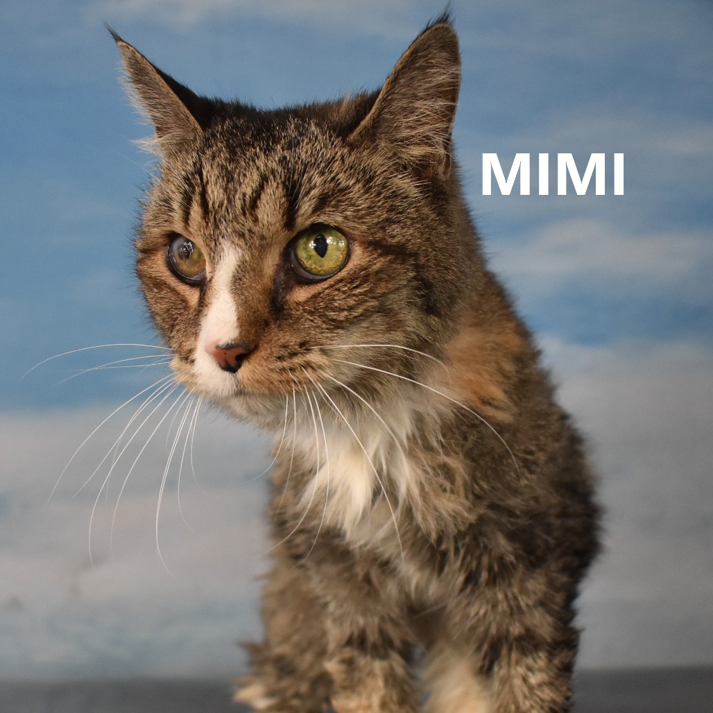 Mimi