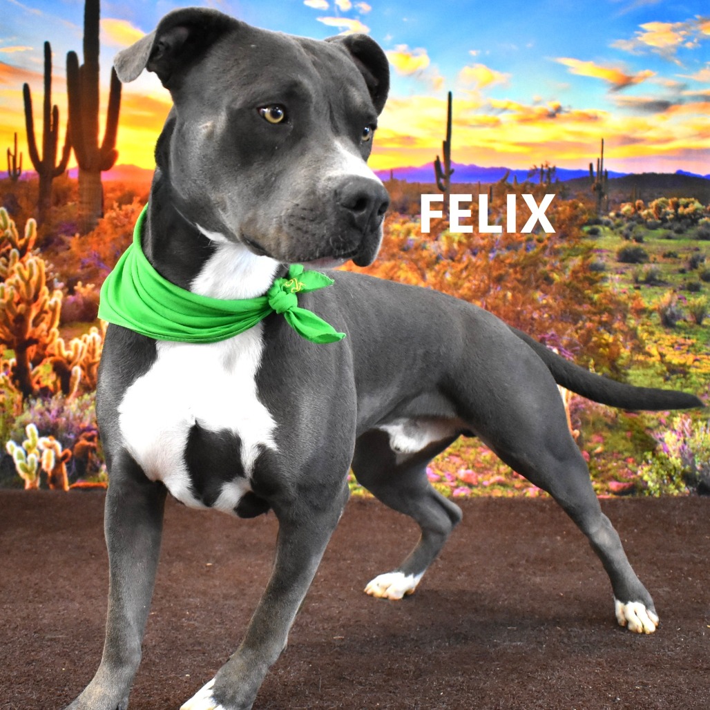 Felix