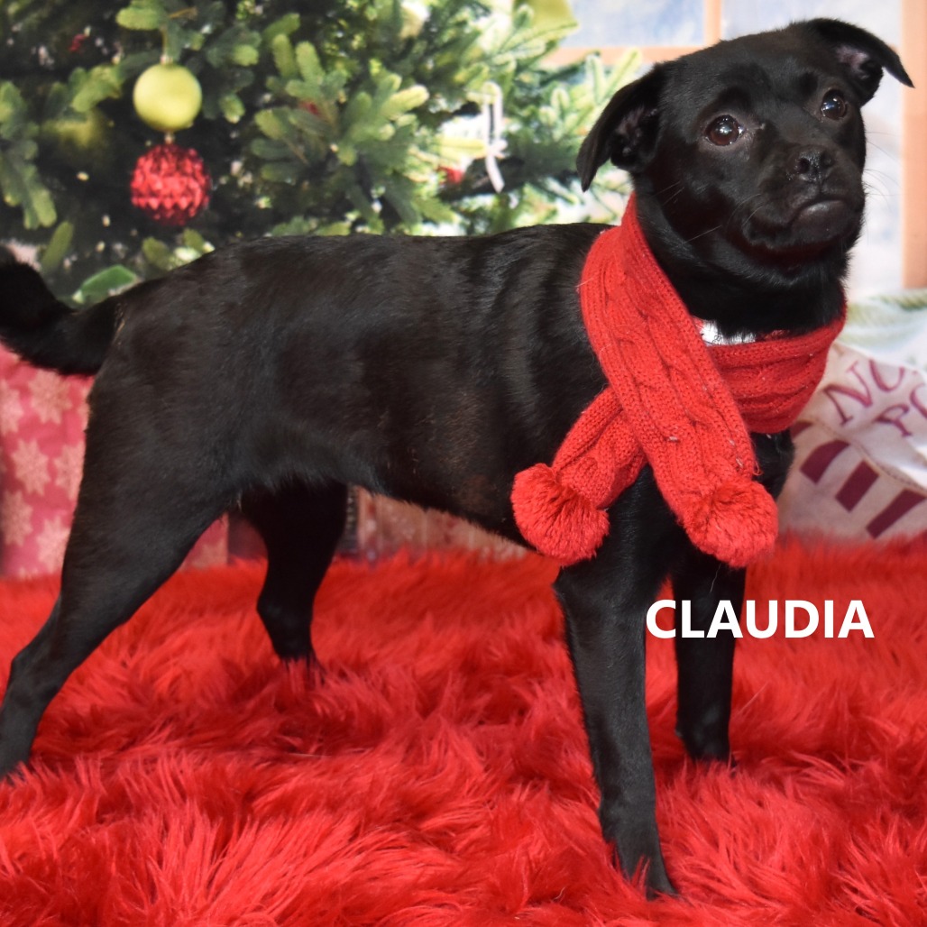 Claudia/Nessie