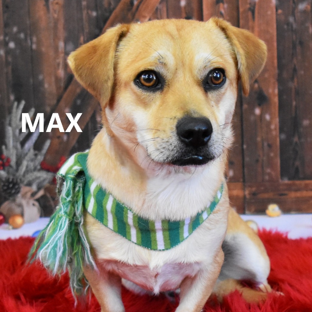 Max