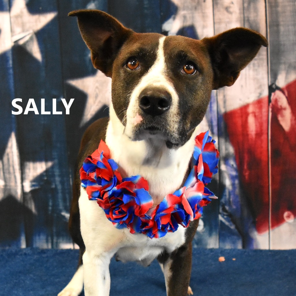 Sally