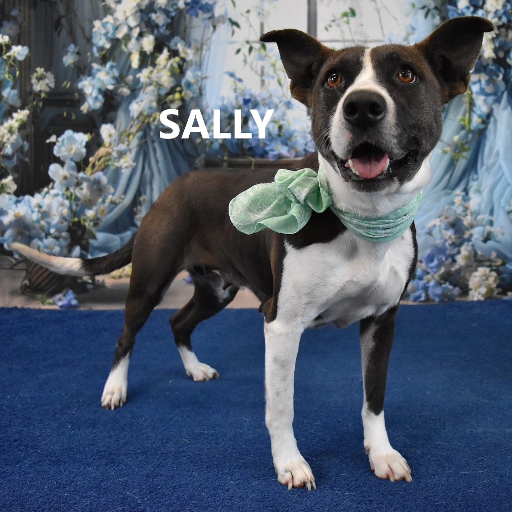 Sally