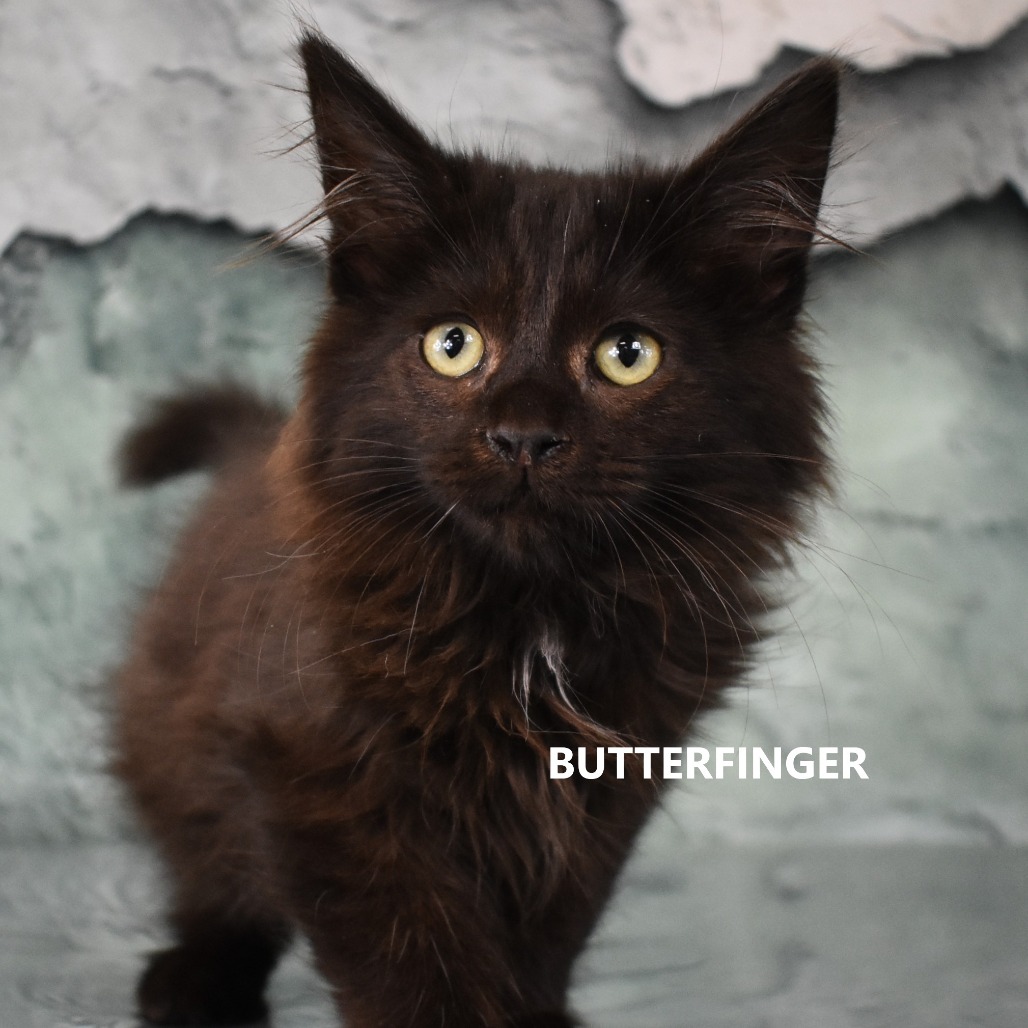 Butterfinger
