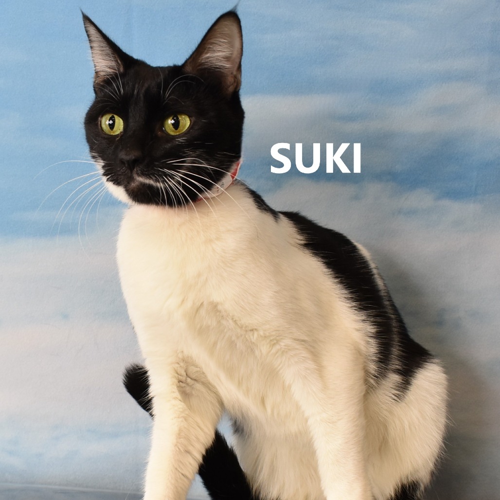 Suki