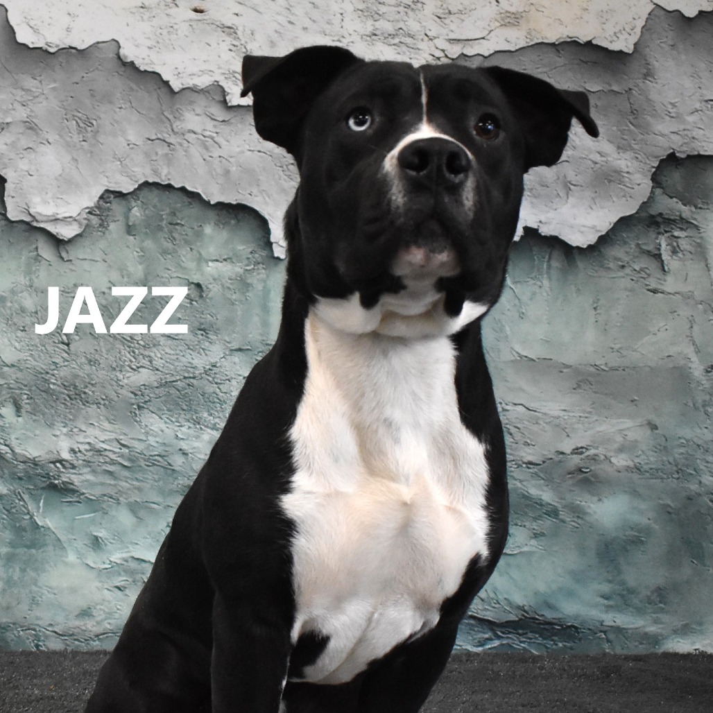 Jazz
