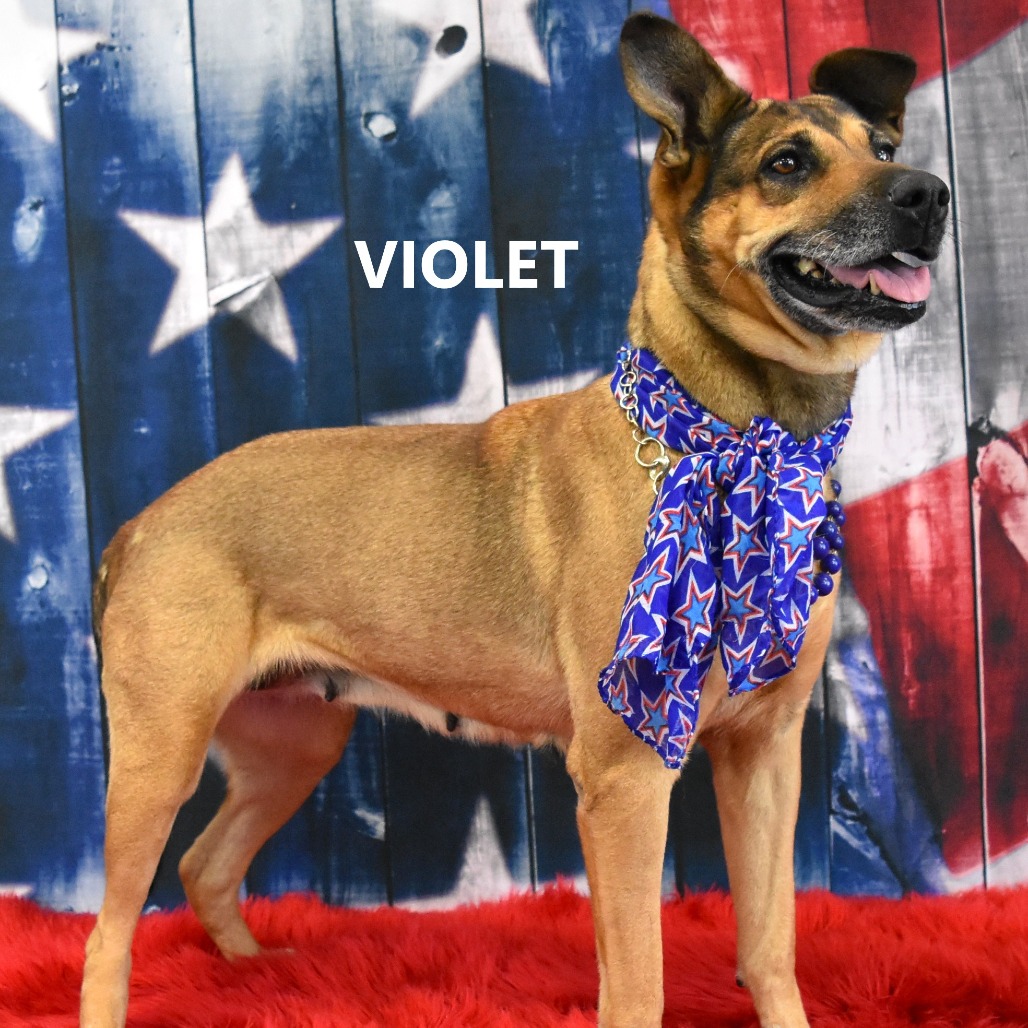 Violet