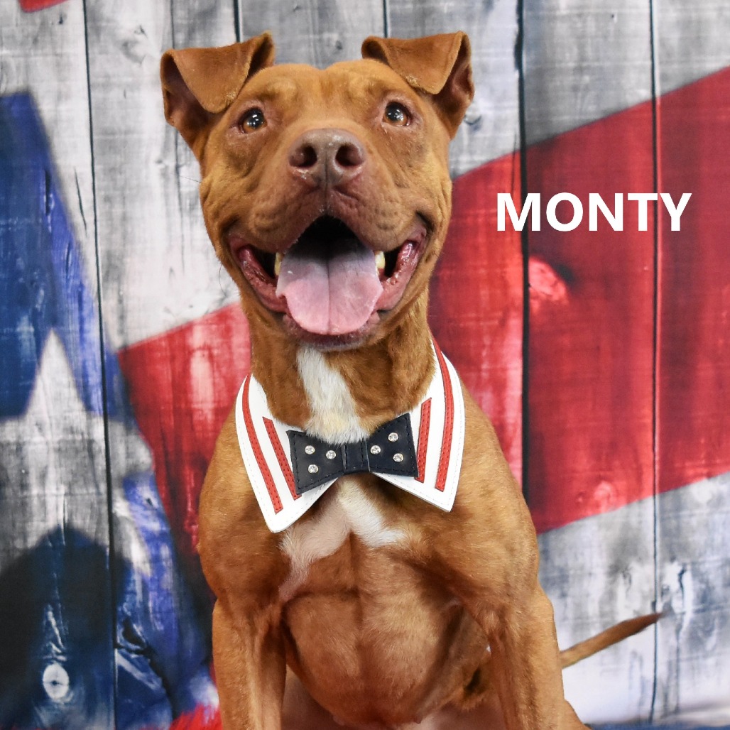 Monty
