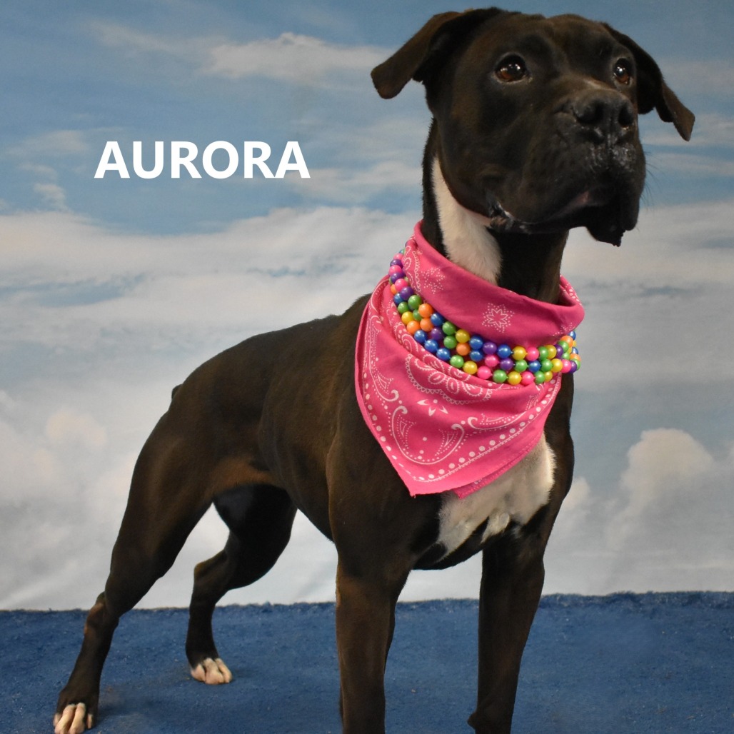Aurora
