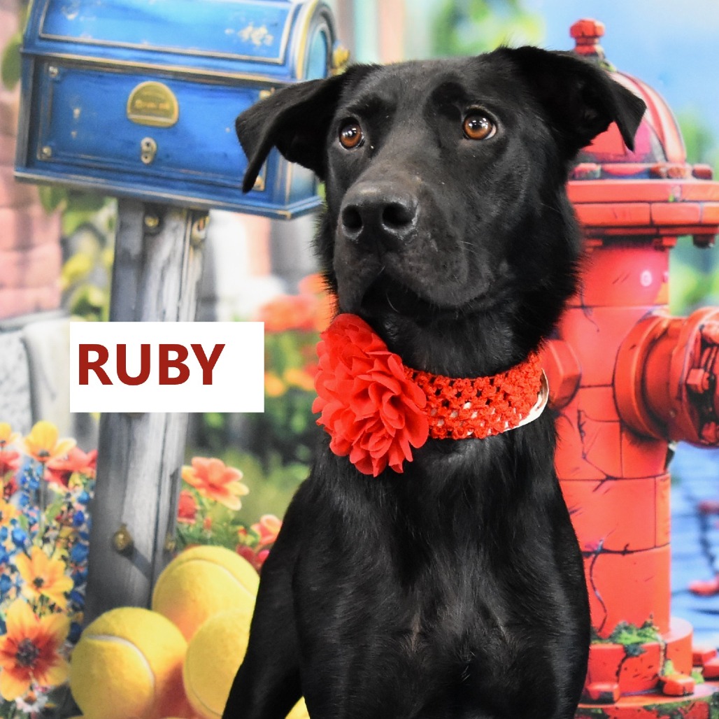 Ruby