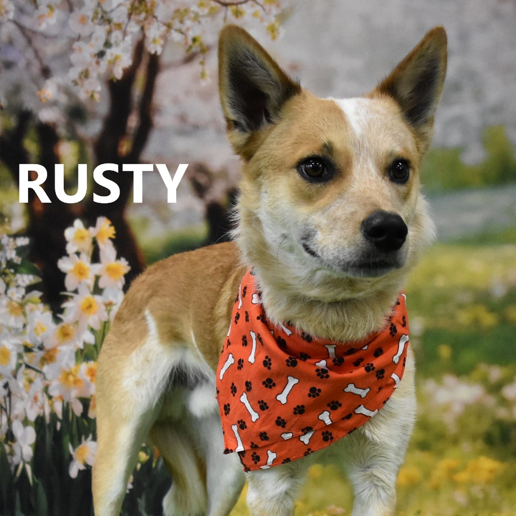 Rusty