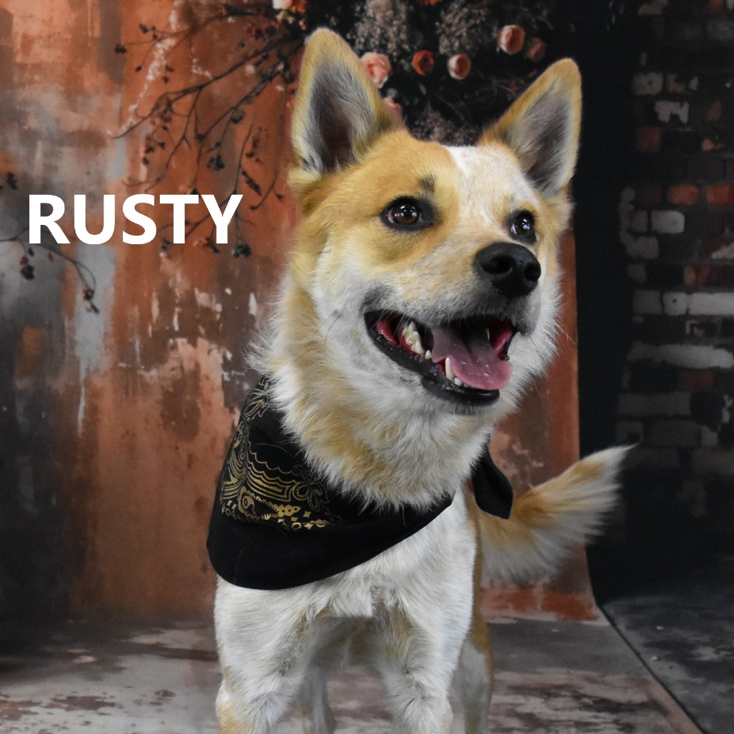 Rusty
