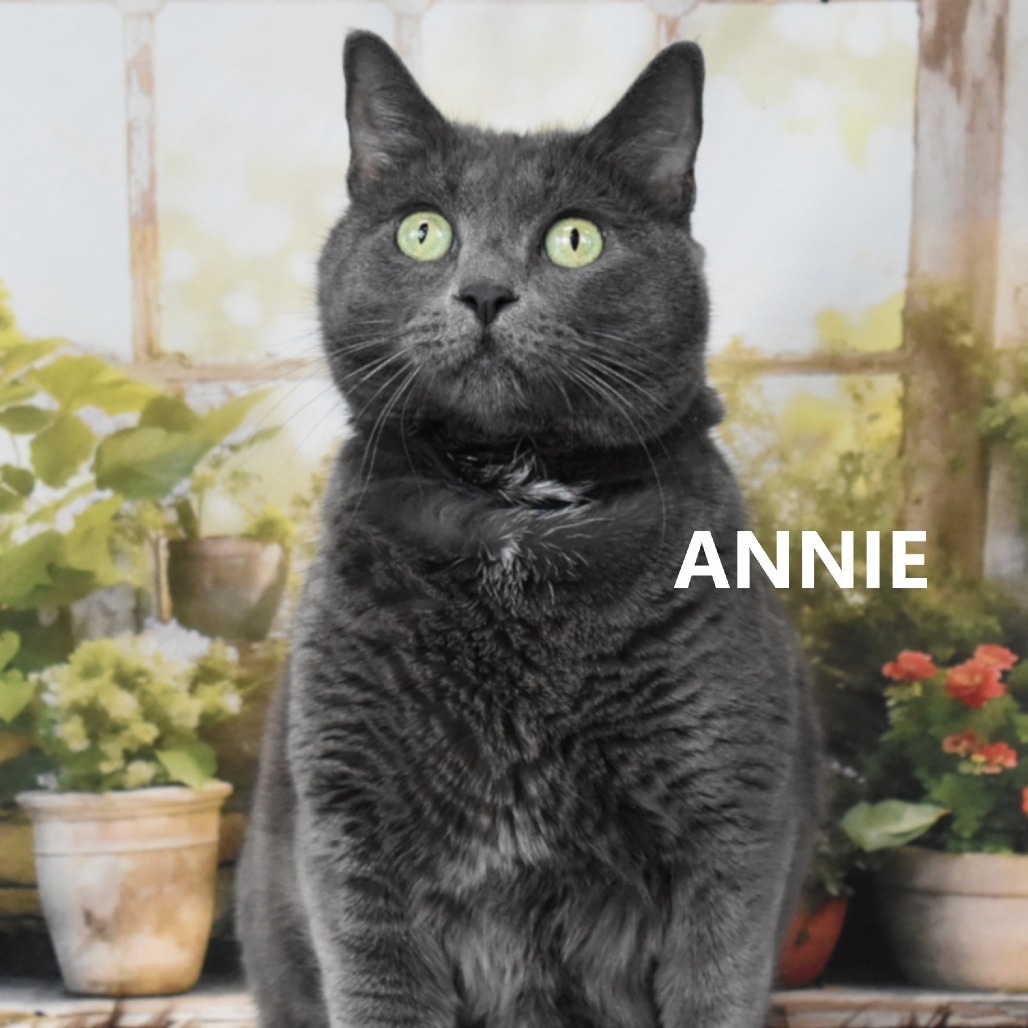 Annie