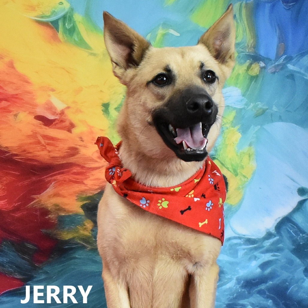 Jerry