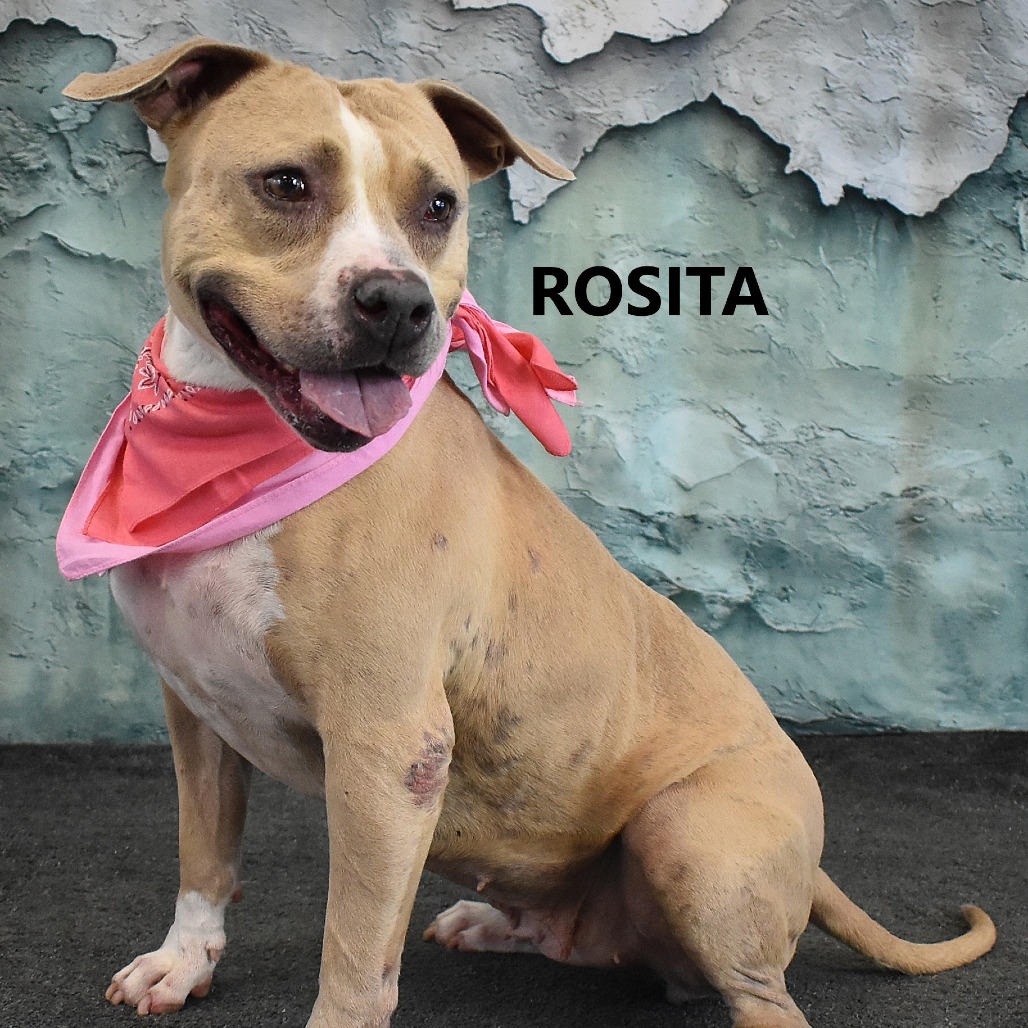 Rosita 