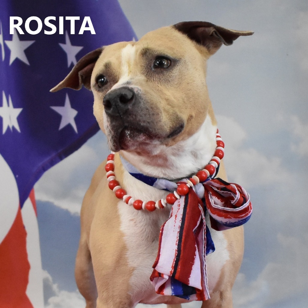 Rosita 