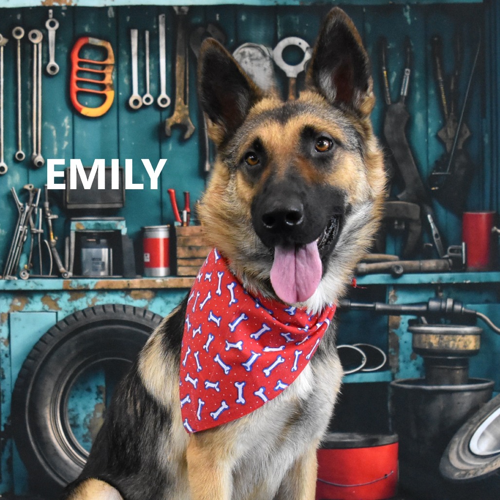 Emily