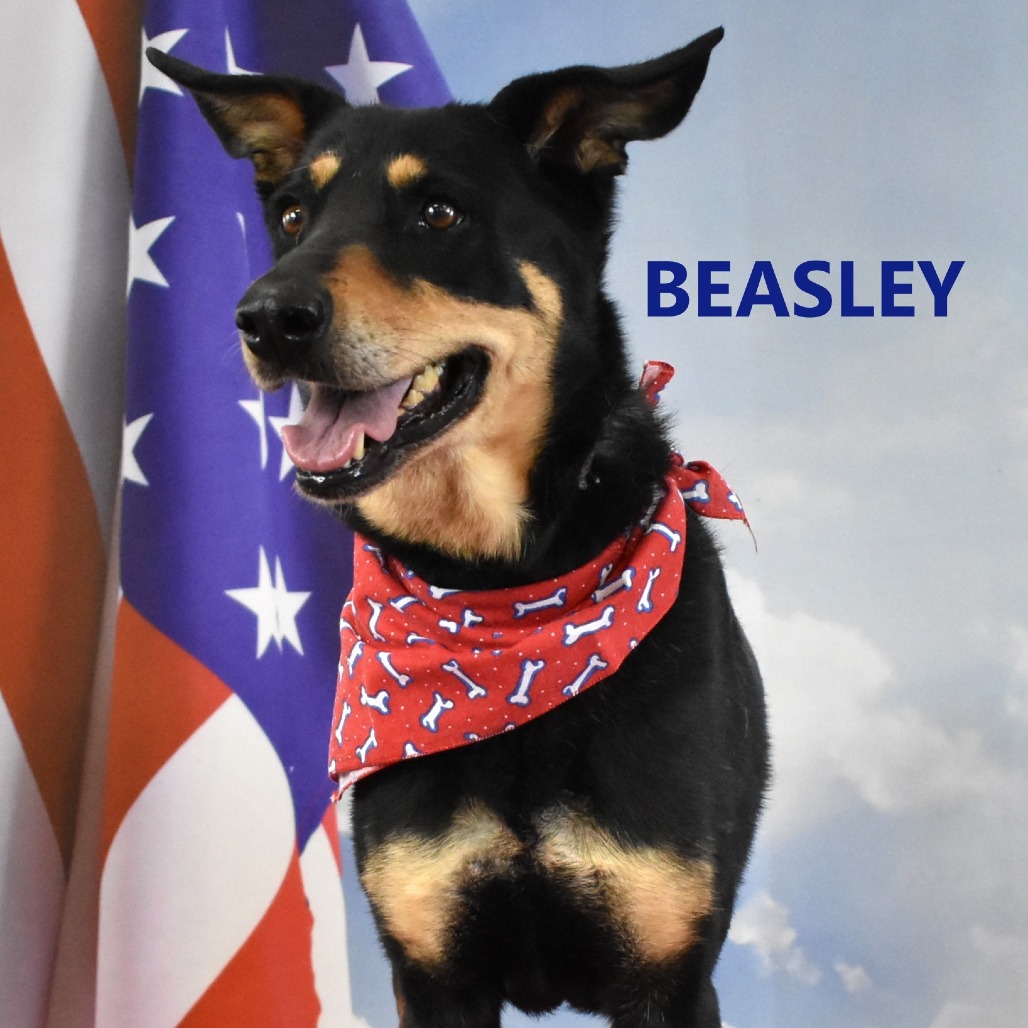 Beasley