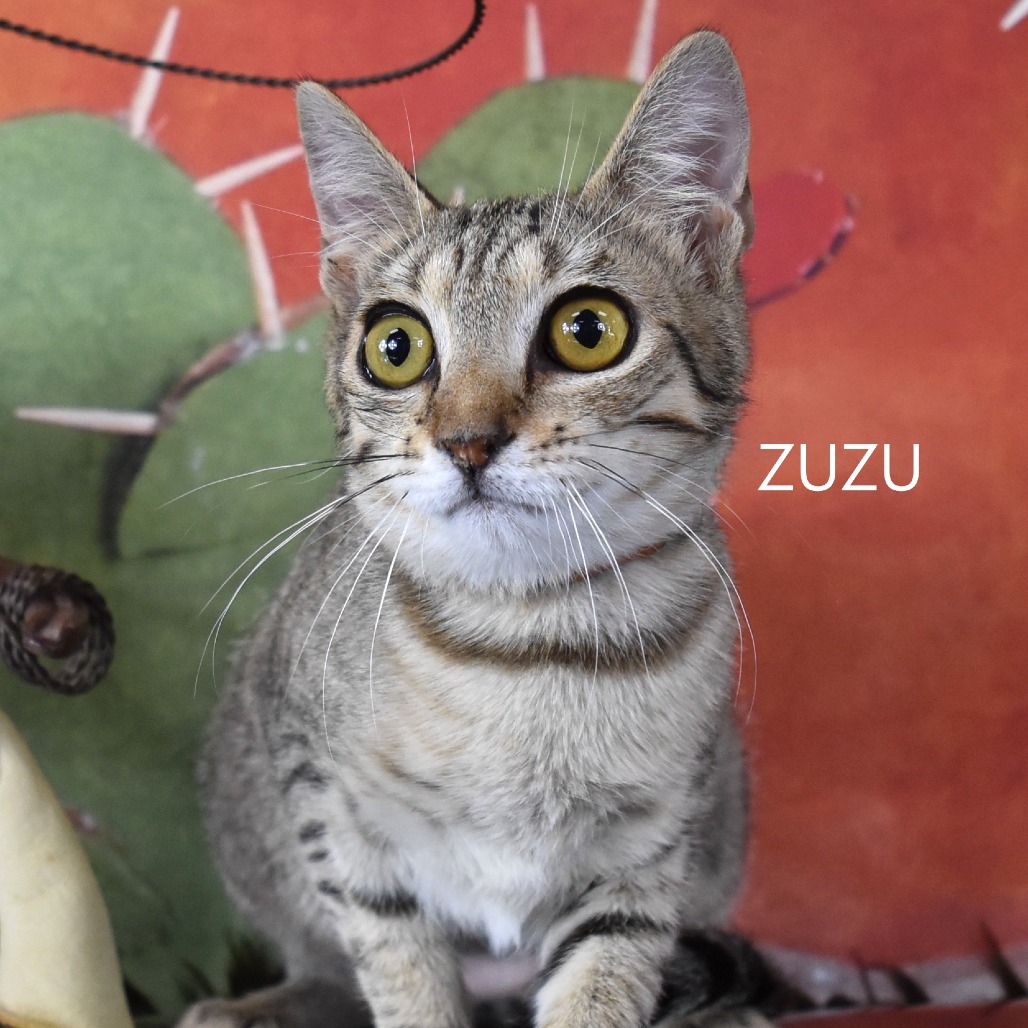 Zuzu
