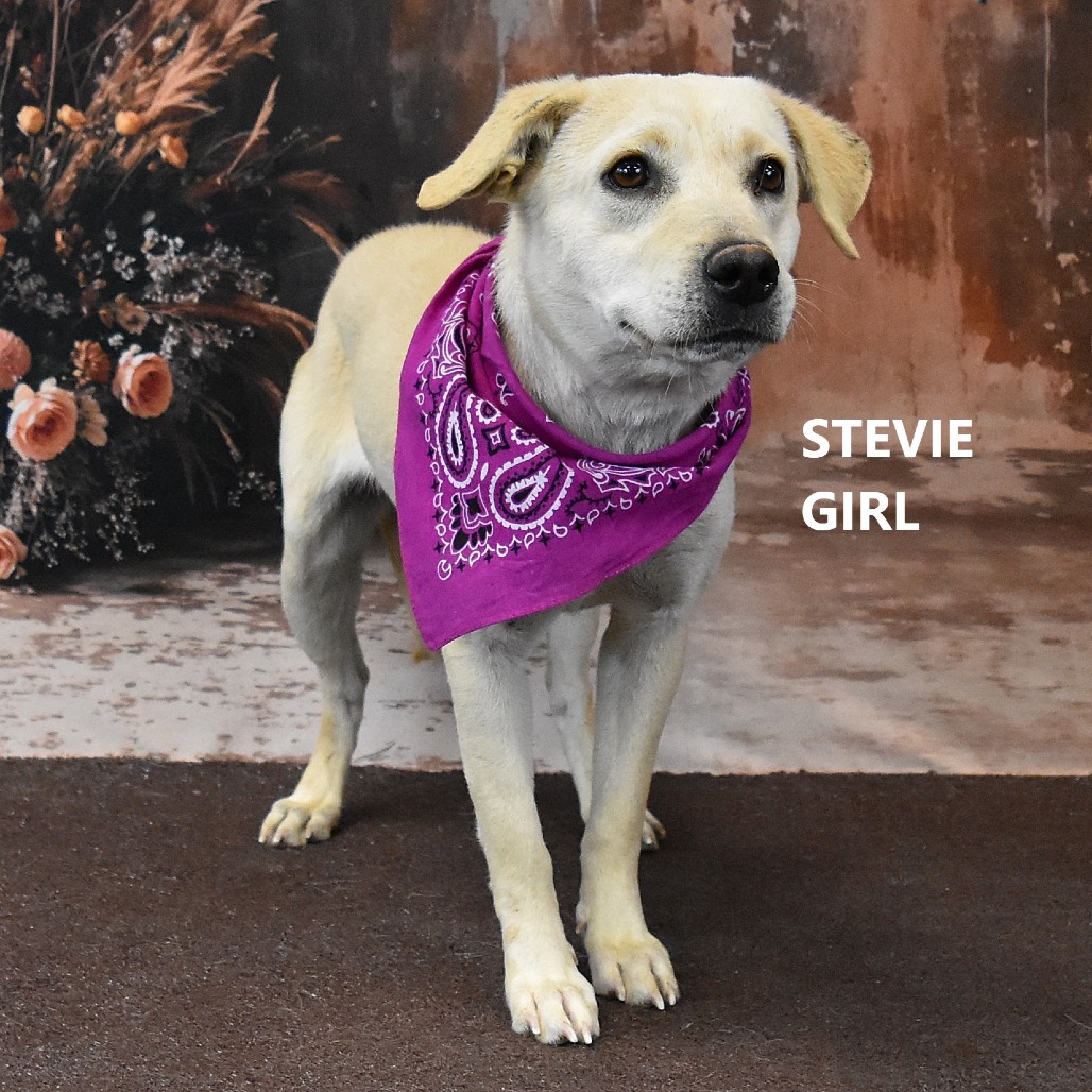 Stevie Girl