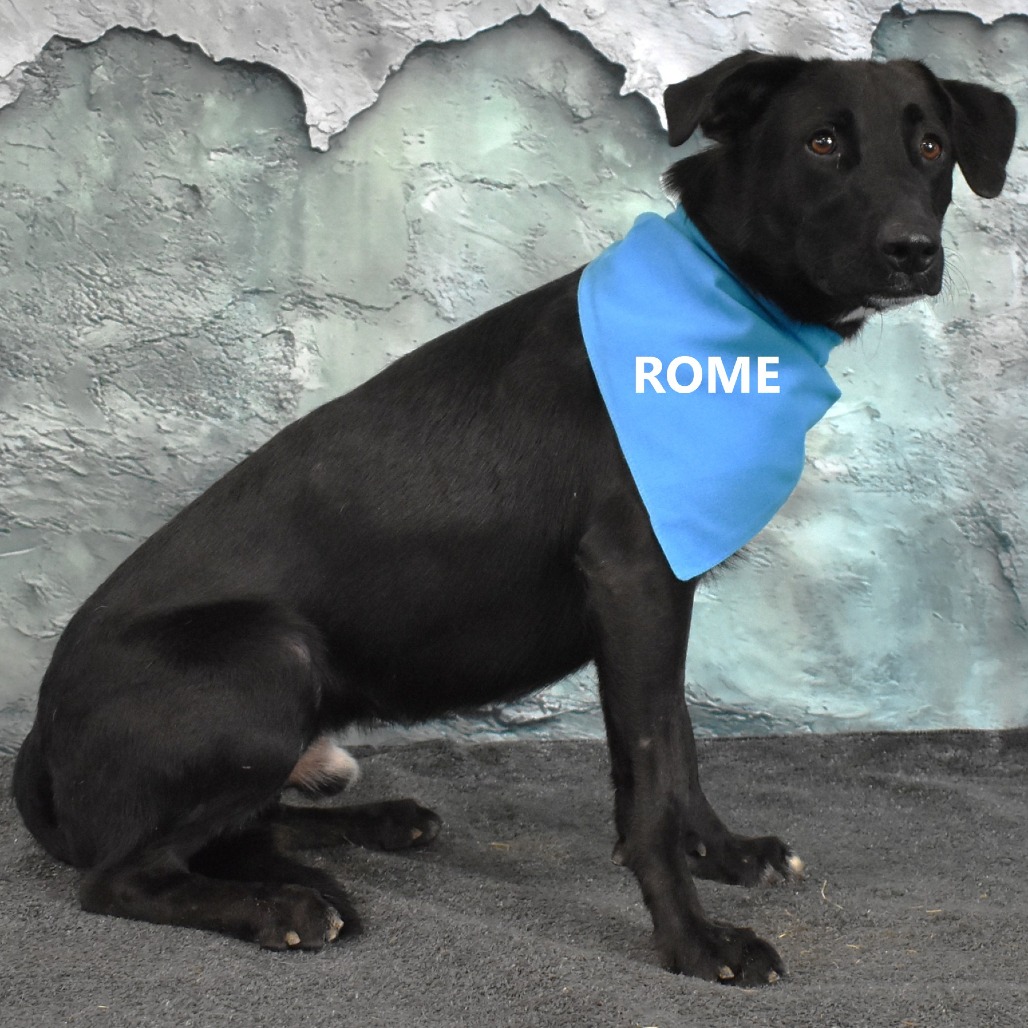 Rome