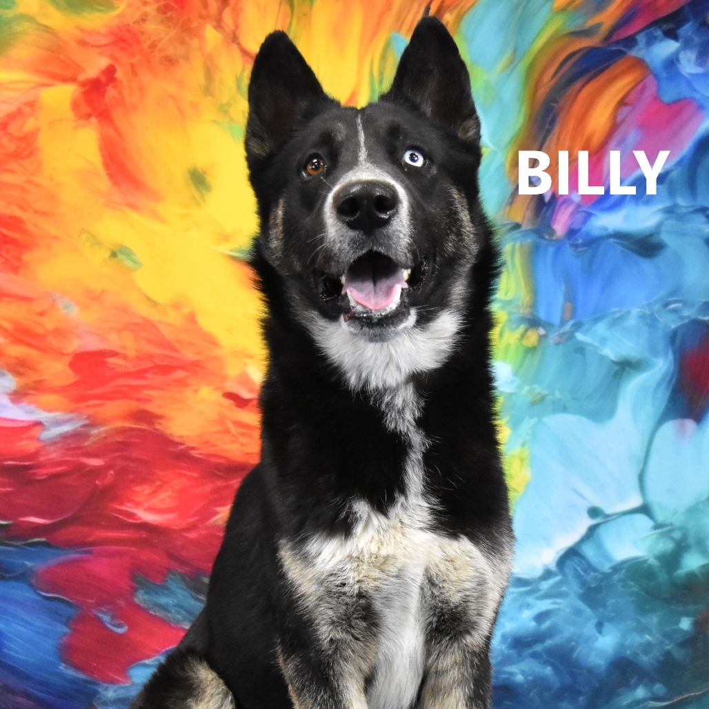 Billy