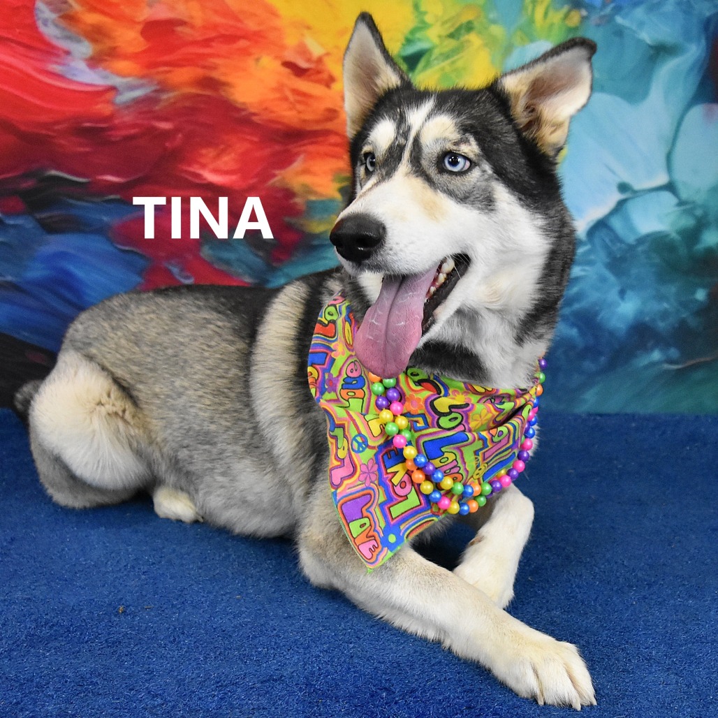 Tina