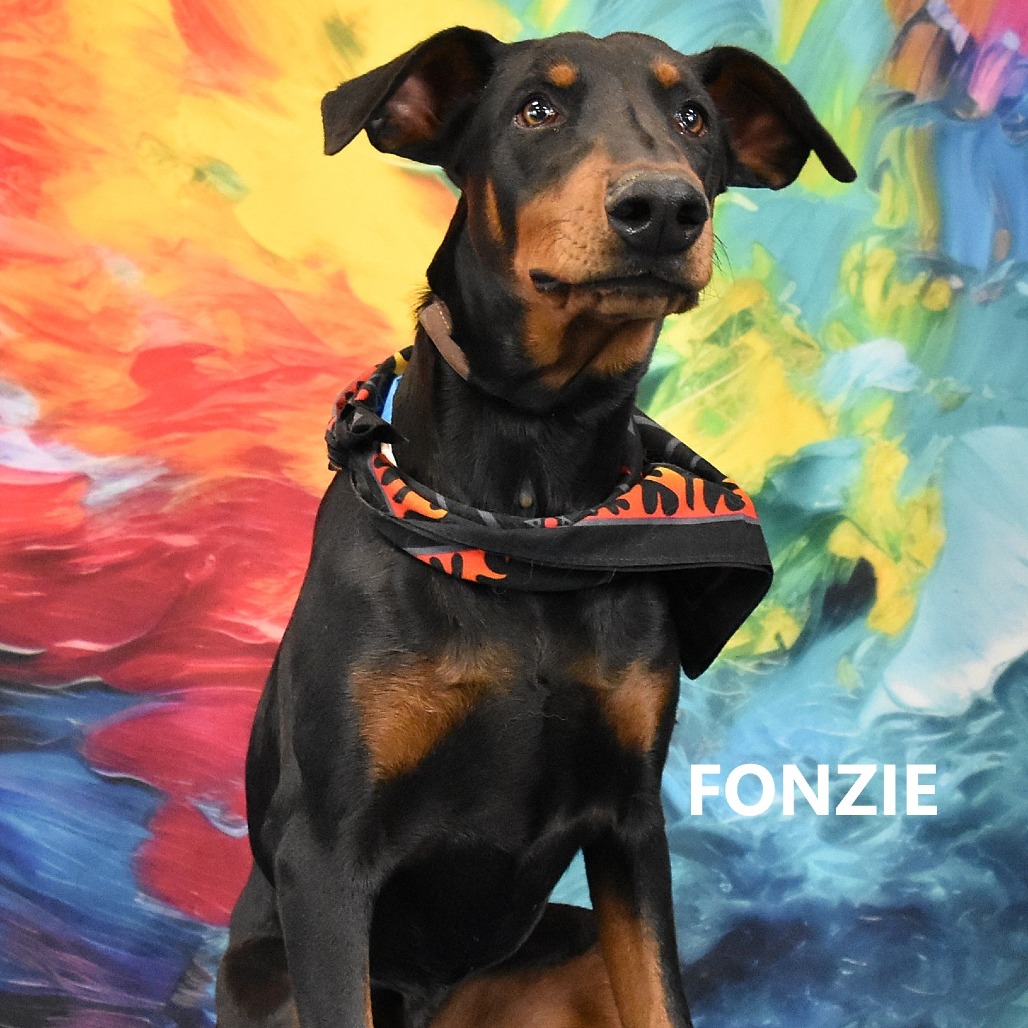 Fonzie