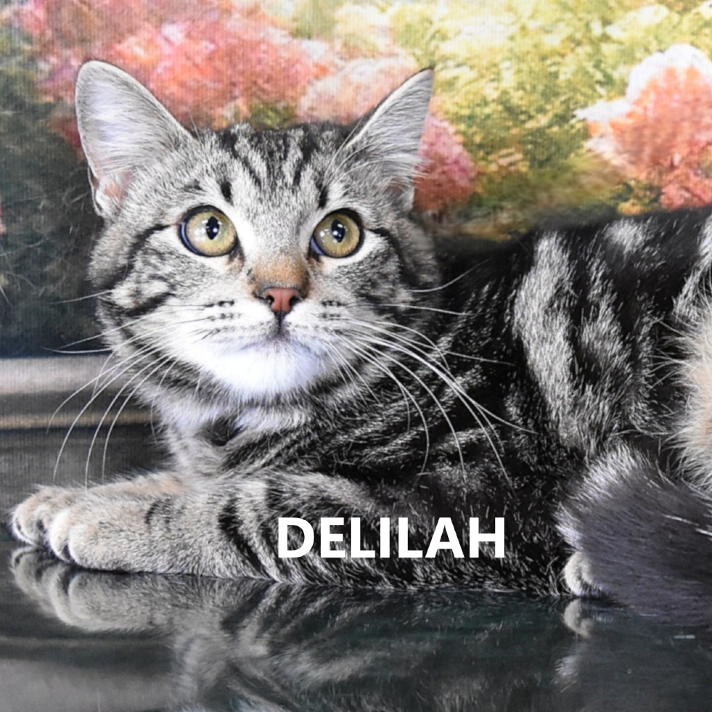 Delilah