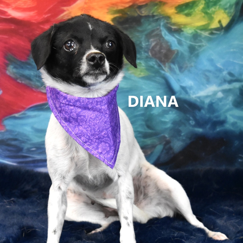 Diana