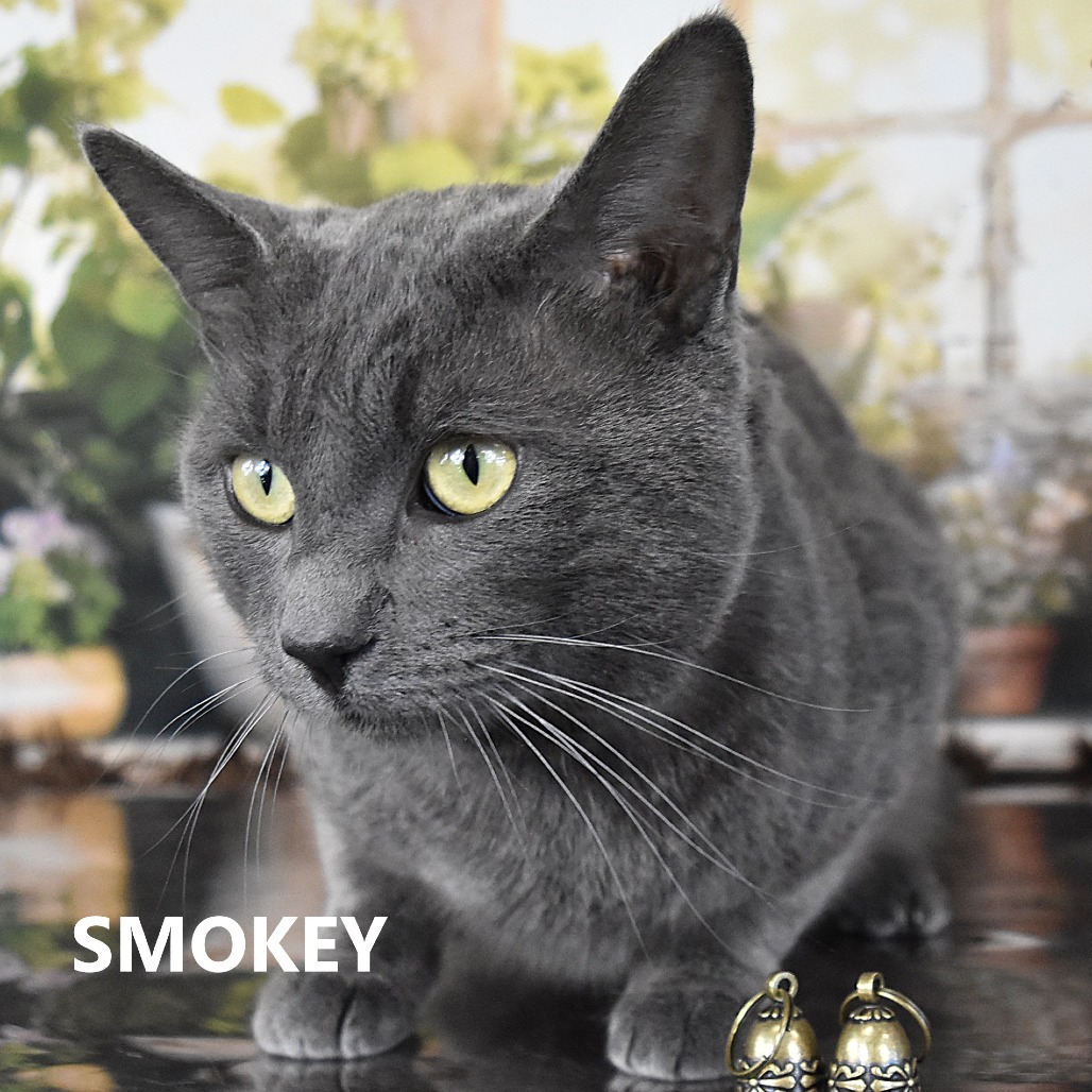 Smokey 