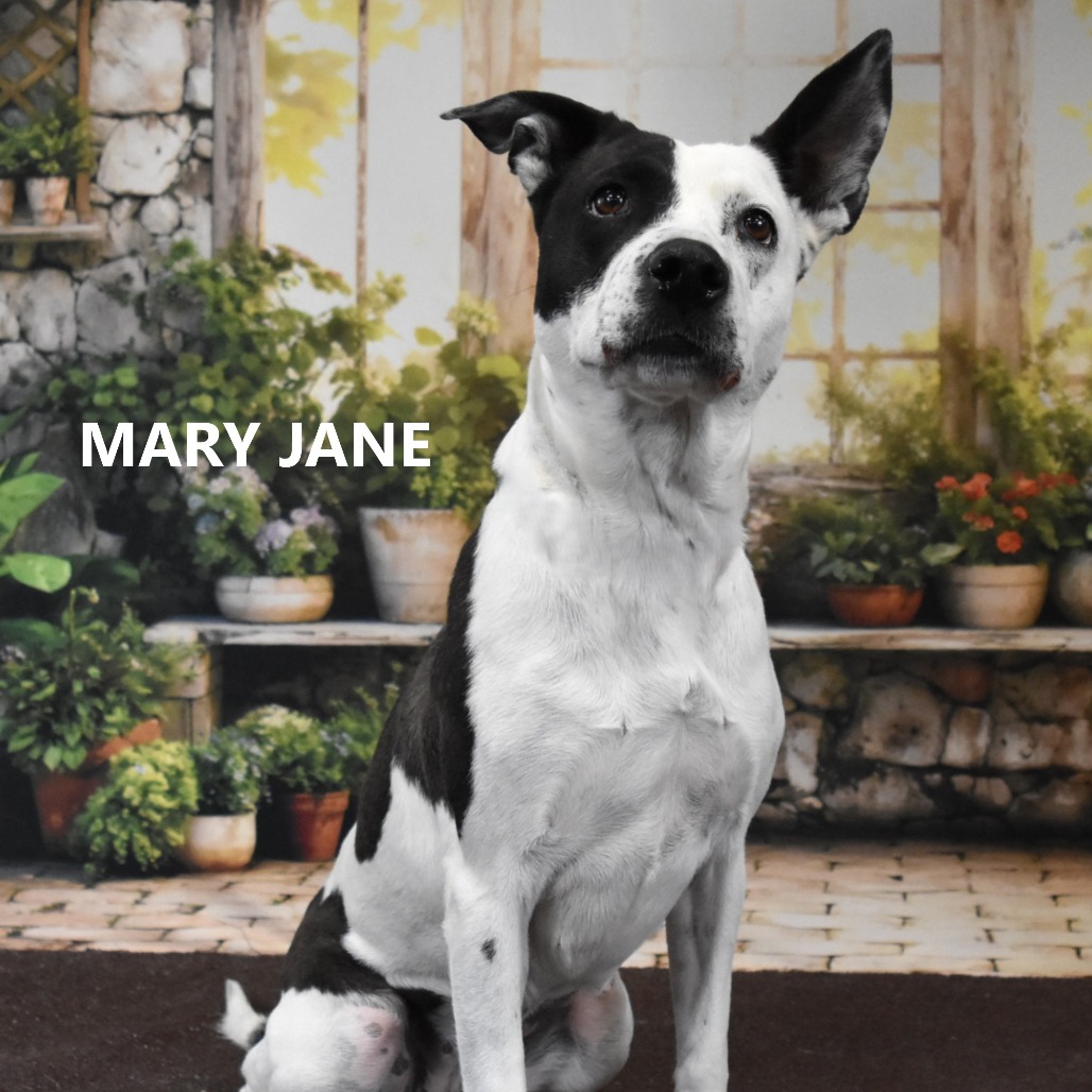 Mary Jane